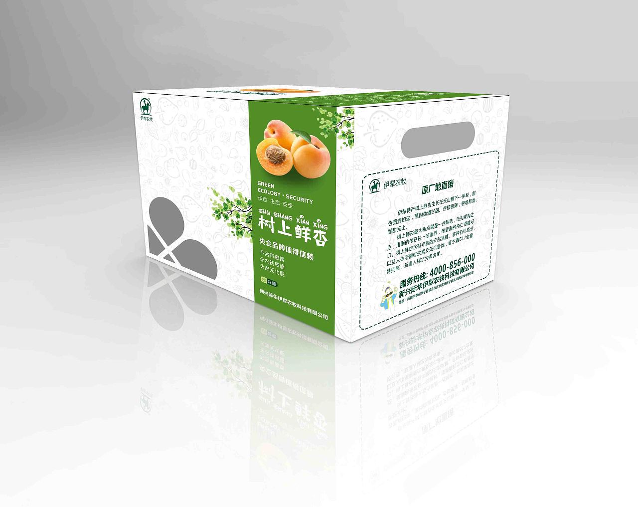 树上鲜杏包装箱设计