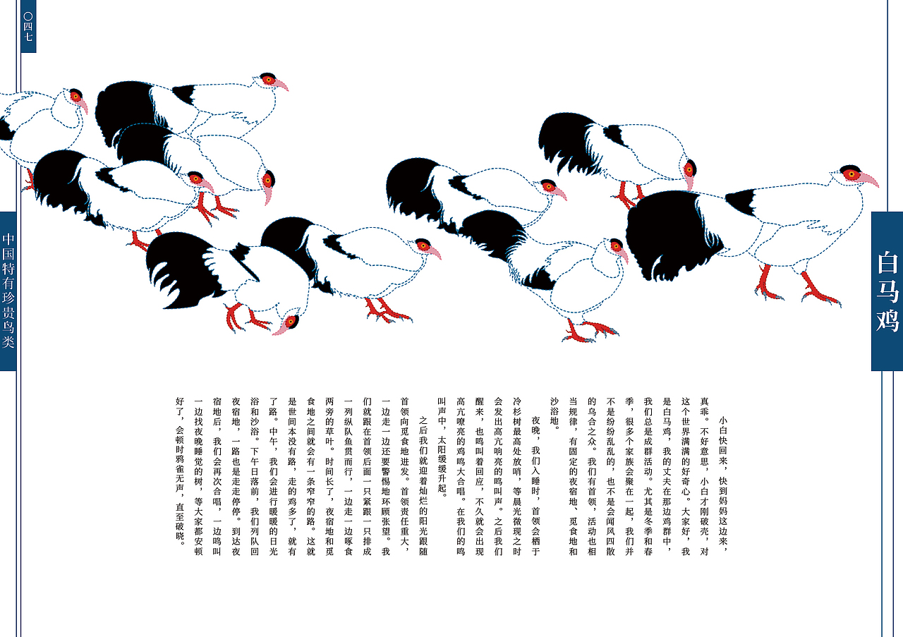 《假如我们会说话》70种中国珍贵野生动物书籍设计·二