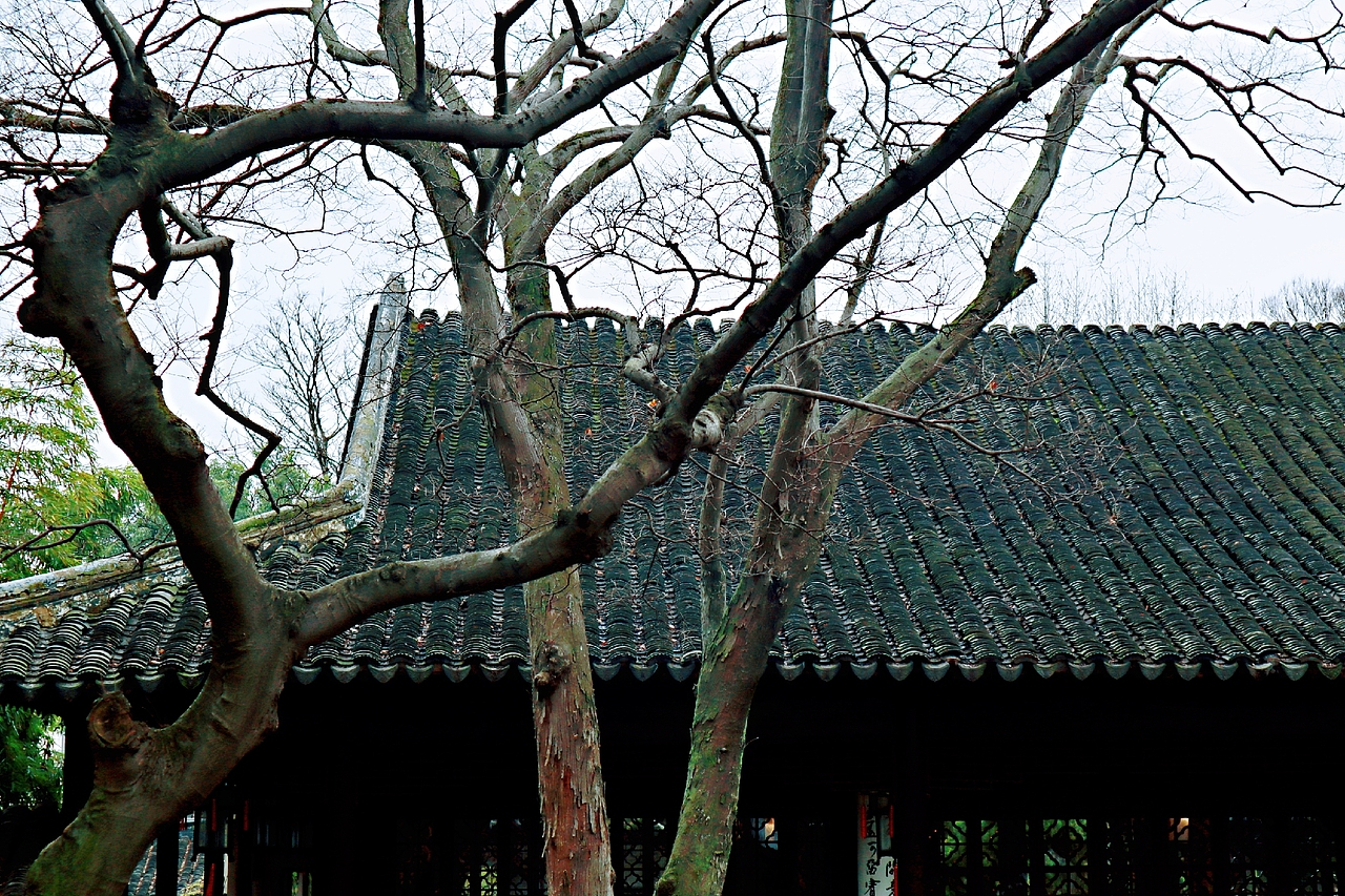 清明雨上（图ZMjA0ODI2MjEy） - 风光摄影 - 站酷设计师ouou欧原创素材 - 站酷ZCOOL