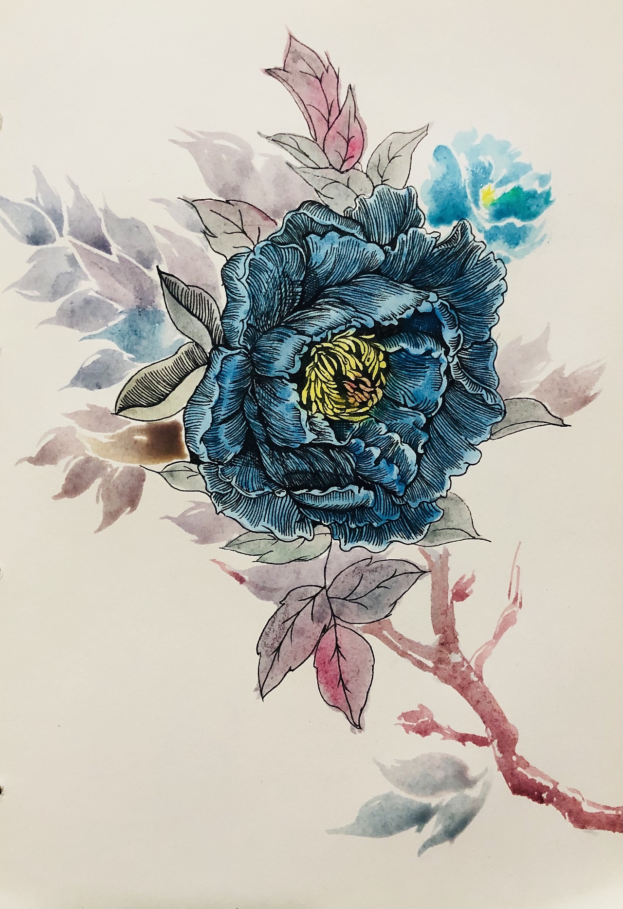 钢笔淡彩-牡丹（图ZMjI4ODgwMjEy） - 绘画 - 站酷设计师樊阳君原创素材 - 站酷ZCOOL