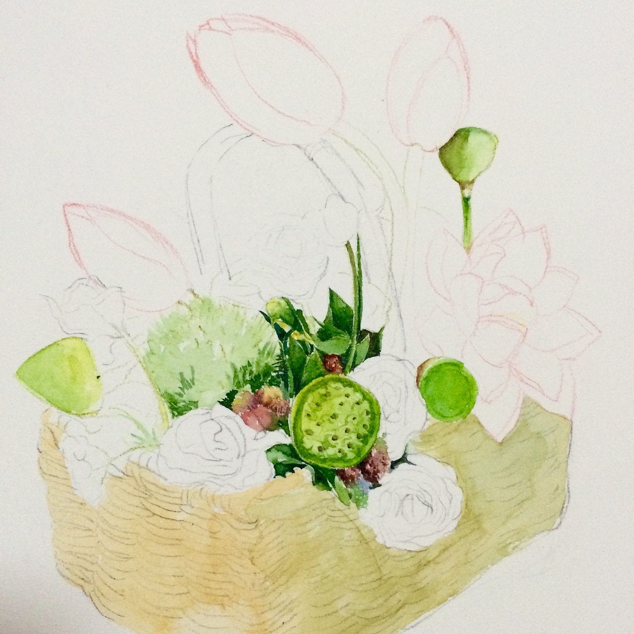 那些花花草草的过程