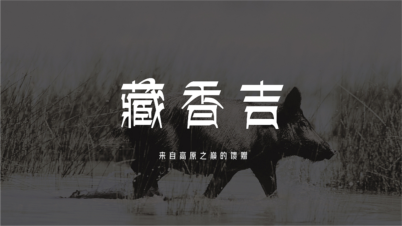【瑞咖/品牌全案】藏香吉 | 来自高原之巅的馈赠(图ZMjQwNTY3MDMy) - Logo - 站酷设计师瑞小咖原创素材 - 站酷ZCOOL
