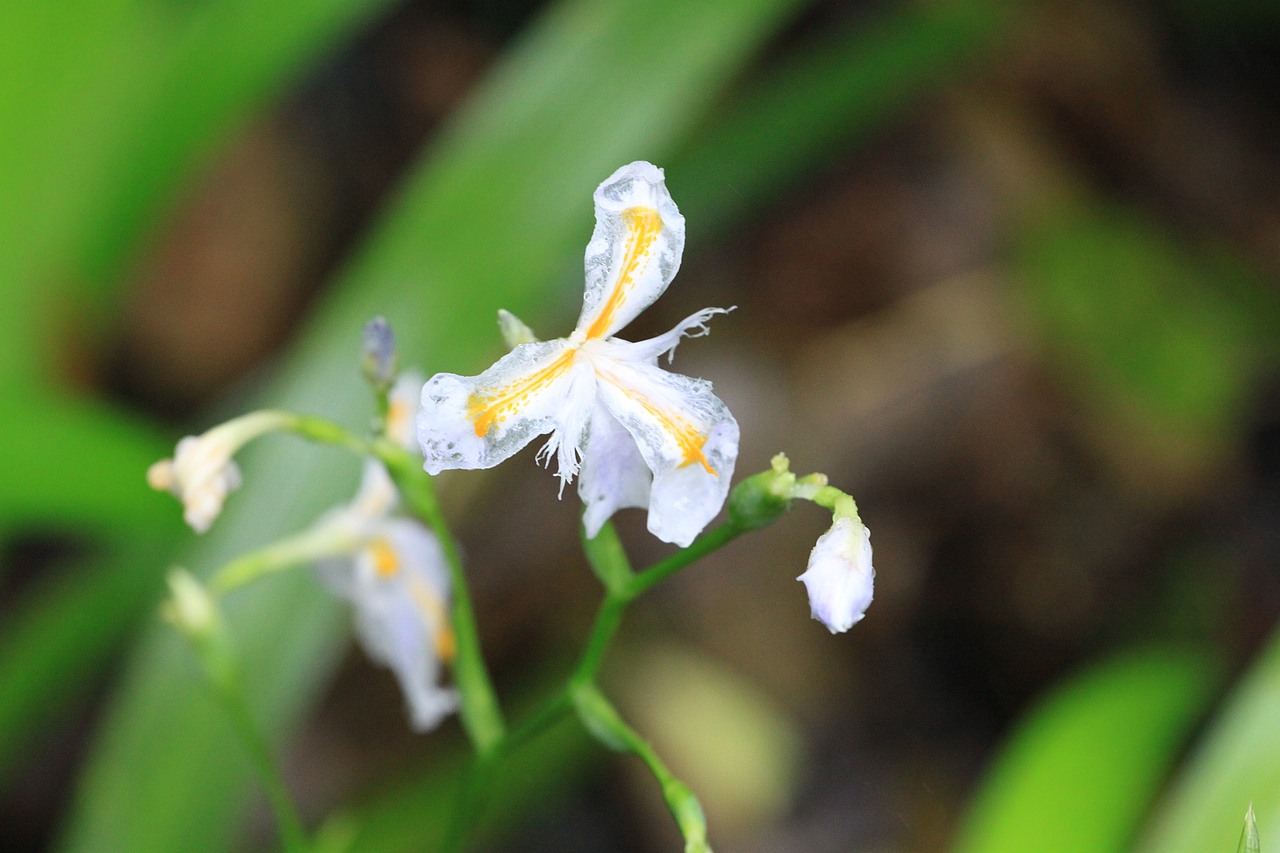 一组摄影作品（图ZMjg5MzA0NDcy） - 风光摄影 - 站酷设计师张慧峰原创素材 - 站酷ZCOOL