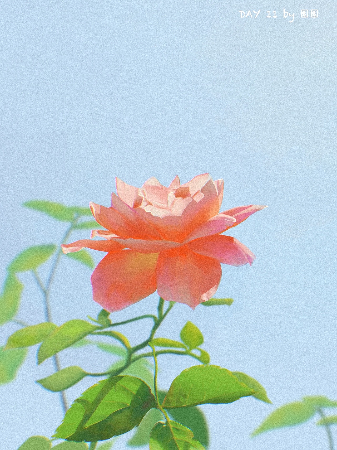 day11 全程跟画,主要学习透光的表现方法,最重要的就是注意纯灰对比。