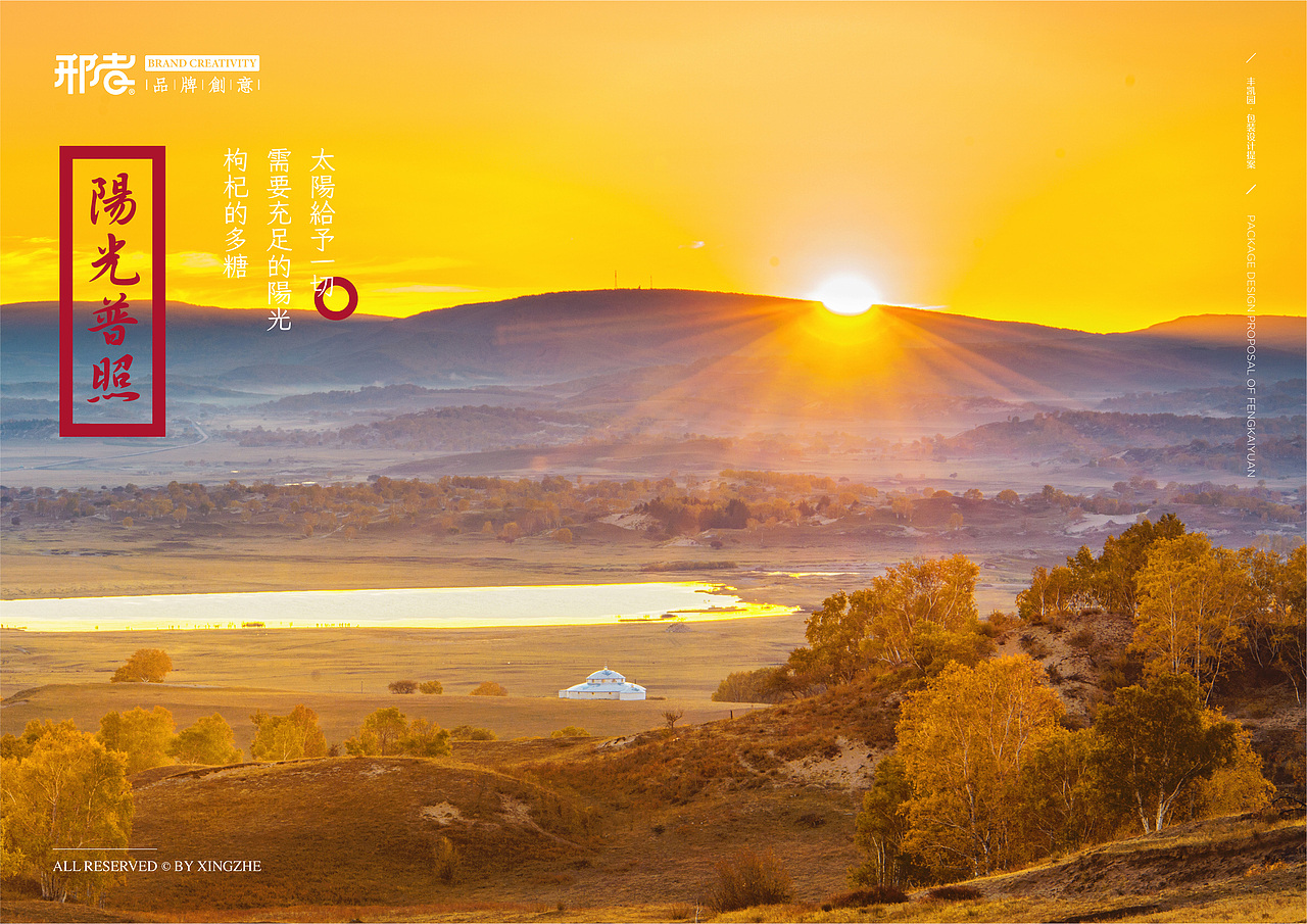 丰凯园 | 诺言系列宁夏枸杞包装设计案例