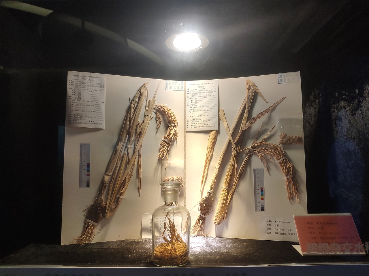 长沙-长沙规划展示馆（图ZMjg2NzA0MjI0） - 展陈设计 - 站酷设计师大湾区五花肉原创素材 - 站酷ZCOOL