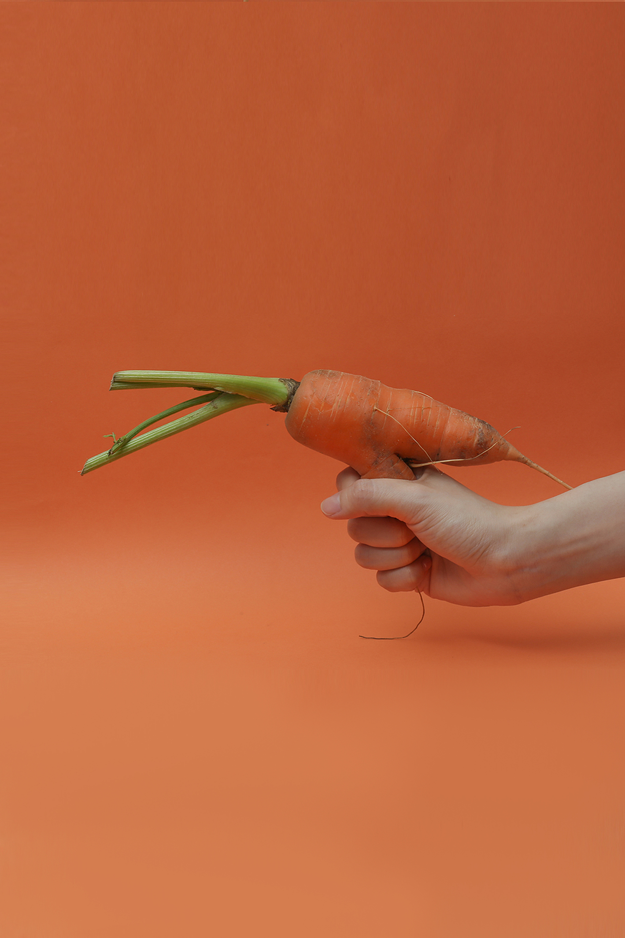 萝卜大作战（图ZMjMyNzc3Mjc2） - 产品摄影 - 站酷设计师Foood原创素材 - 站酷ZCOOL