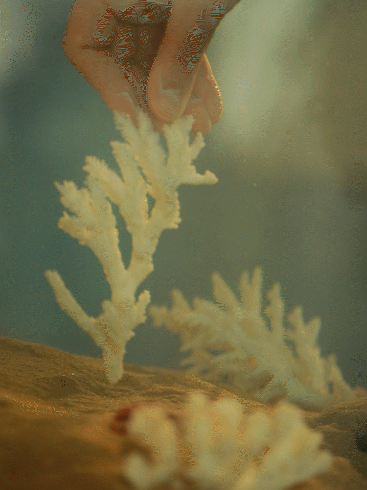 快门先生 | 新美妆视觉II