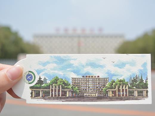 书签摄影