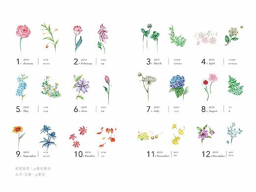 一起看花：2019植物手账