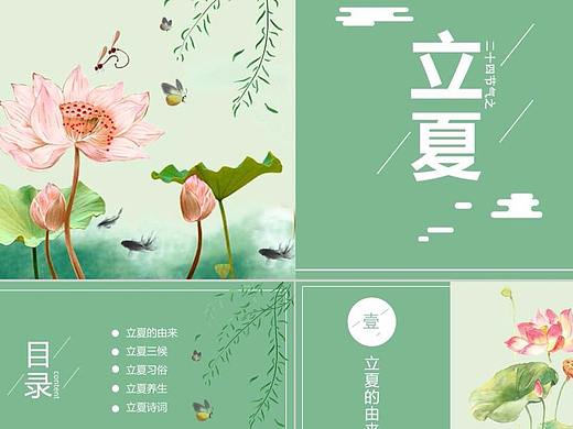 清新荷花绽放二十四节气立夏PPT模板