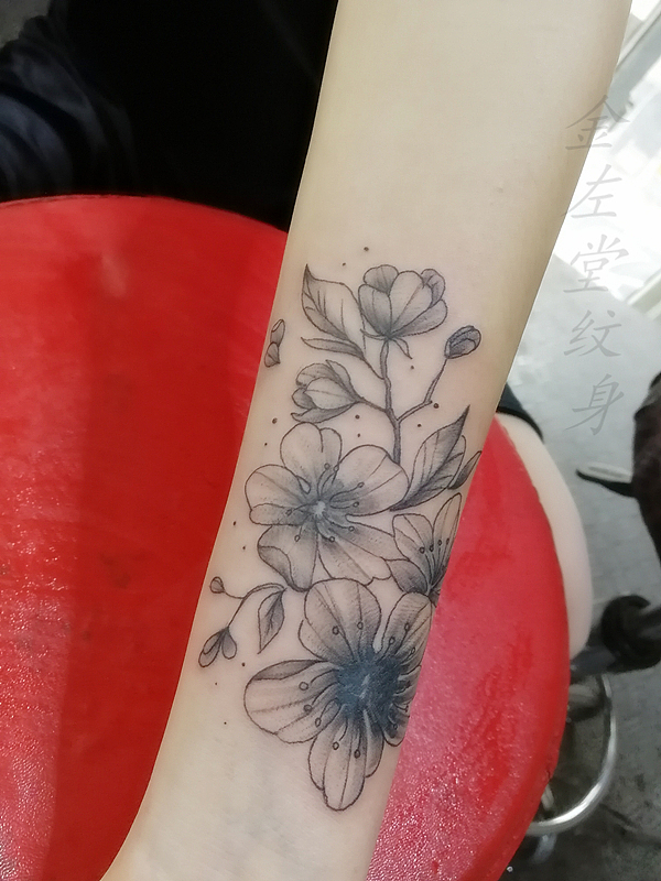 半臂素花纹身遮盖疤痕修改老旧纹身水冶纹身金左堂