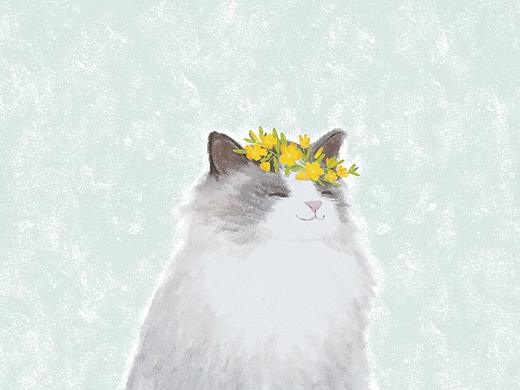 春天和猫ヾ(=･ω･=)o