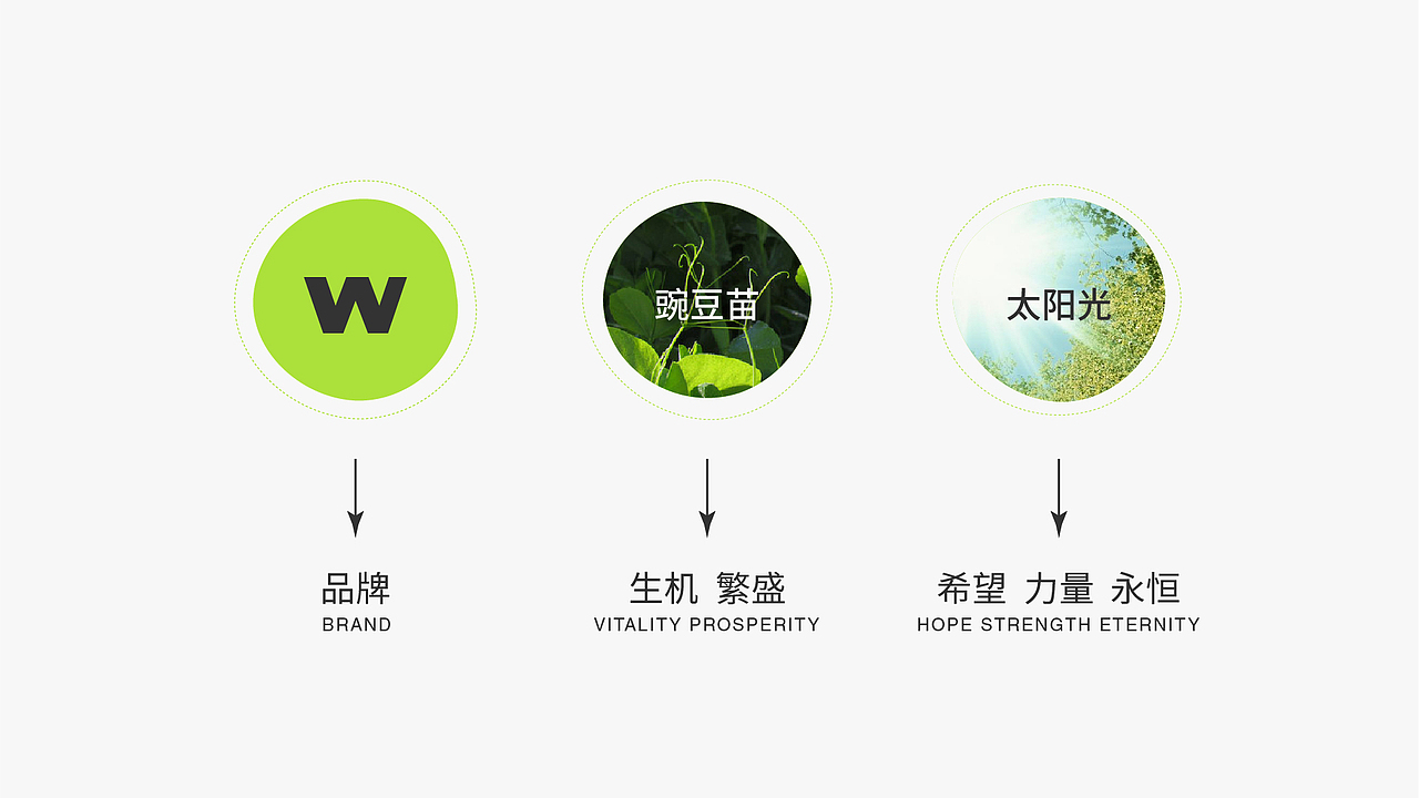 【豌豆尖尖网络】品牌视觉全案升级