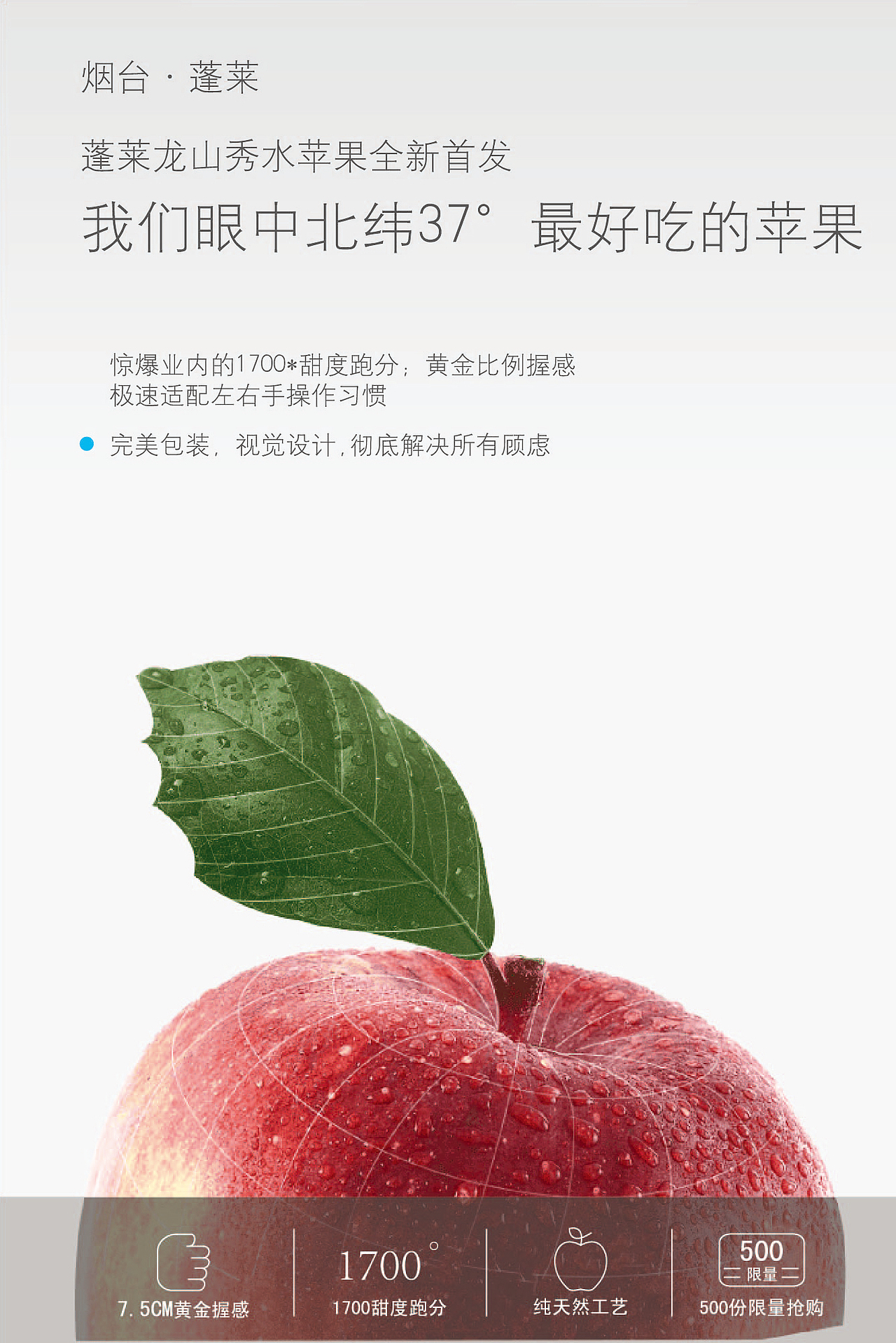 龙山秀水苹果-烟台苹果典范