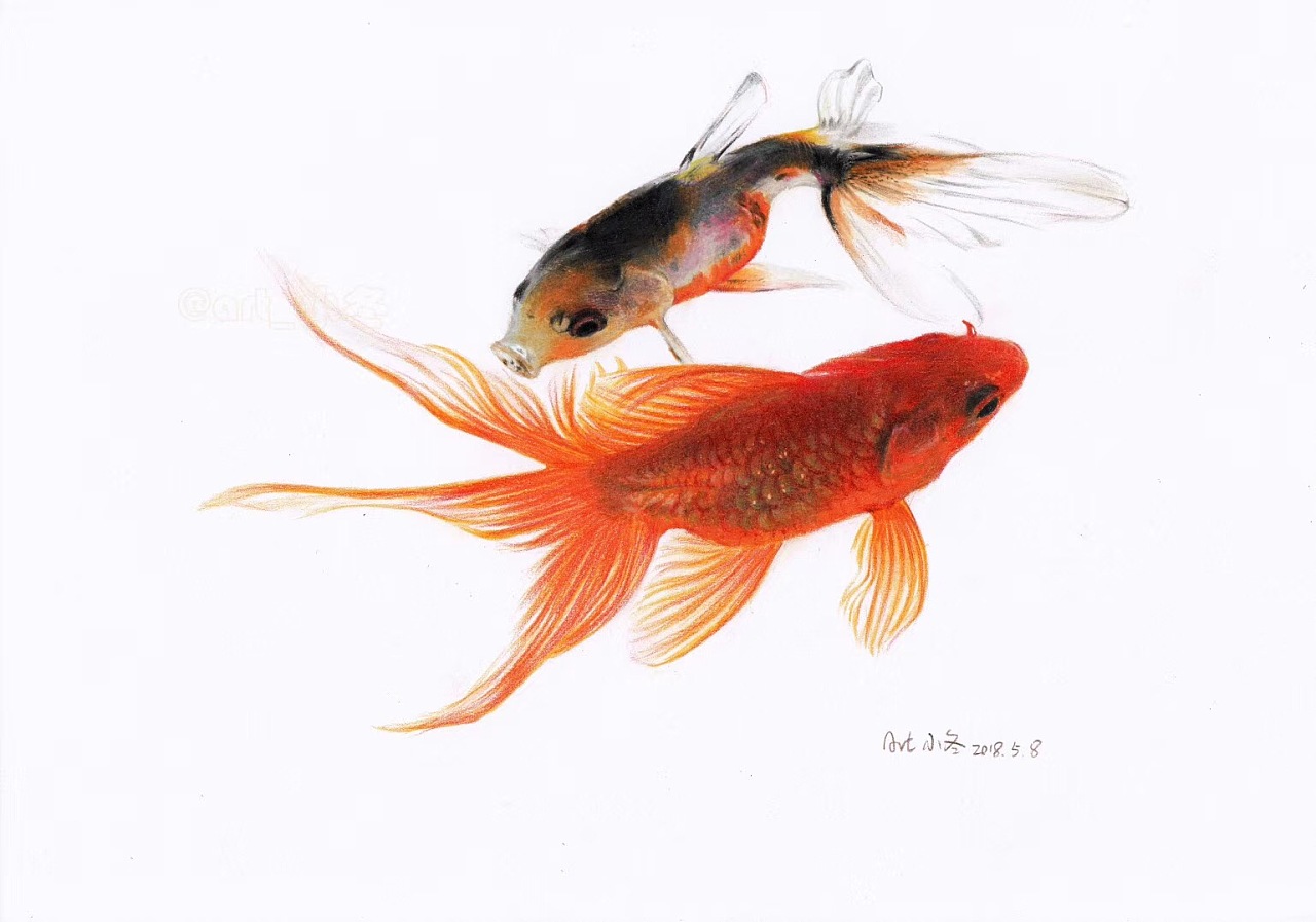 会跳舞的小金鱼儿[微笑]