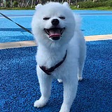白泽YLW的头像