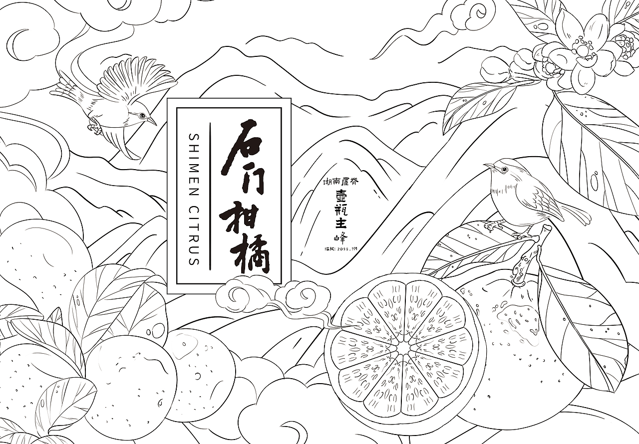 阿柒设计x石门柑橘品牌包装（图ZMjcwMTA0MTEy） - 商业插画 - 站酷设计师阿柒设计原创素材 - 站酷ZCOOL