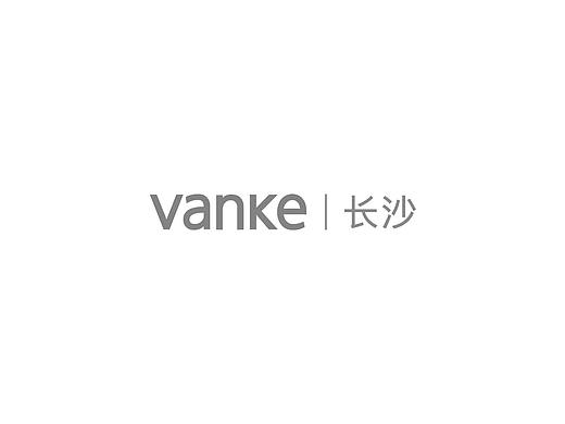 万科长沙品牌视觉