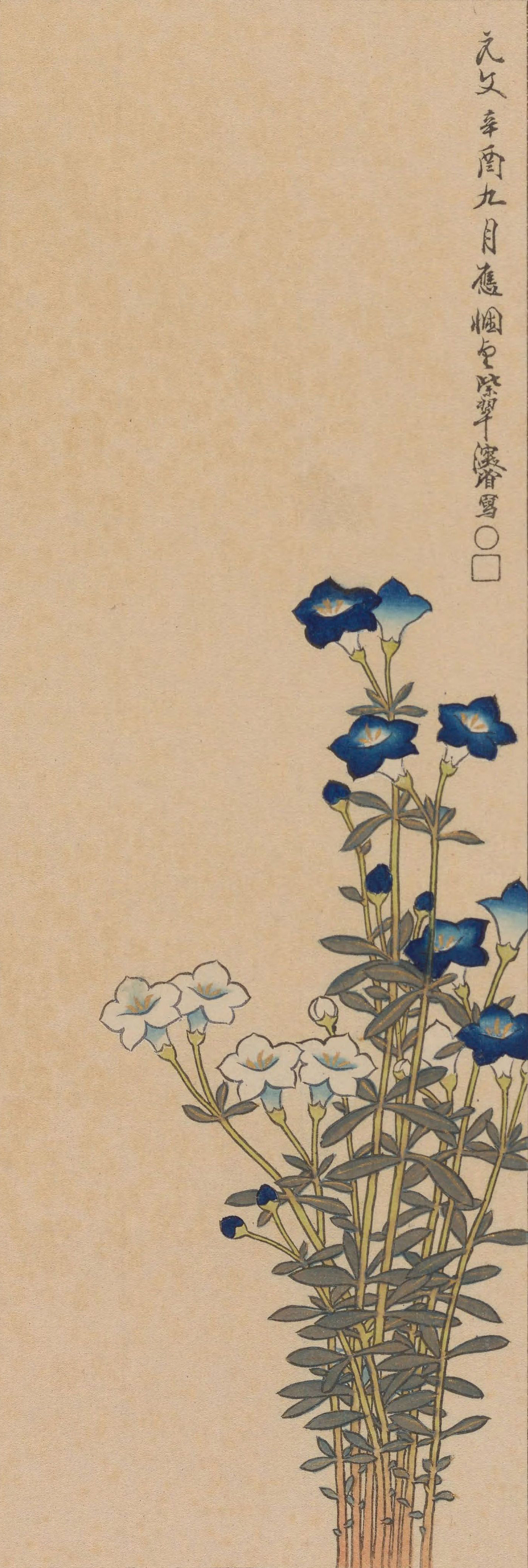 《心华帖》乙册插图欣赏