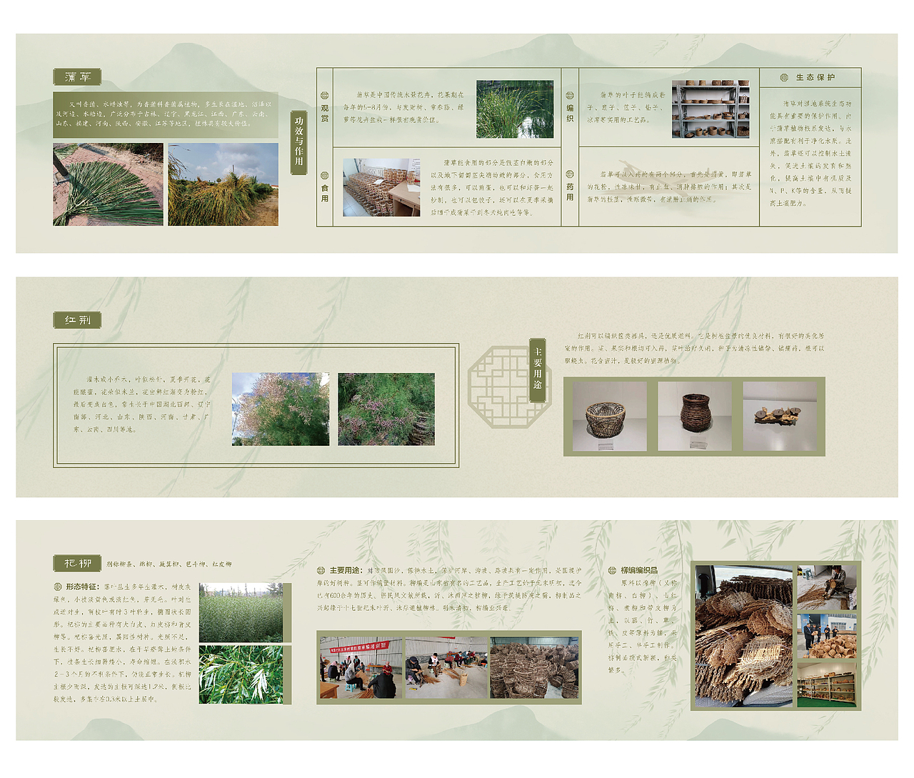 草编——临展视觉设计立面图