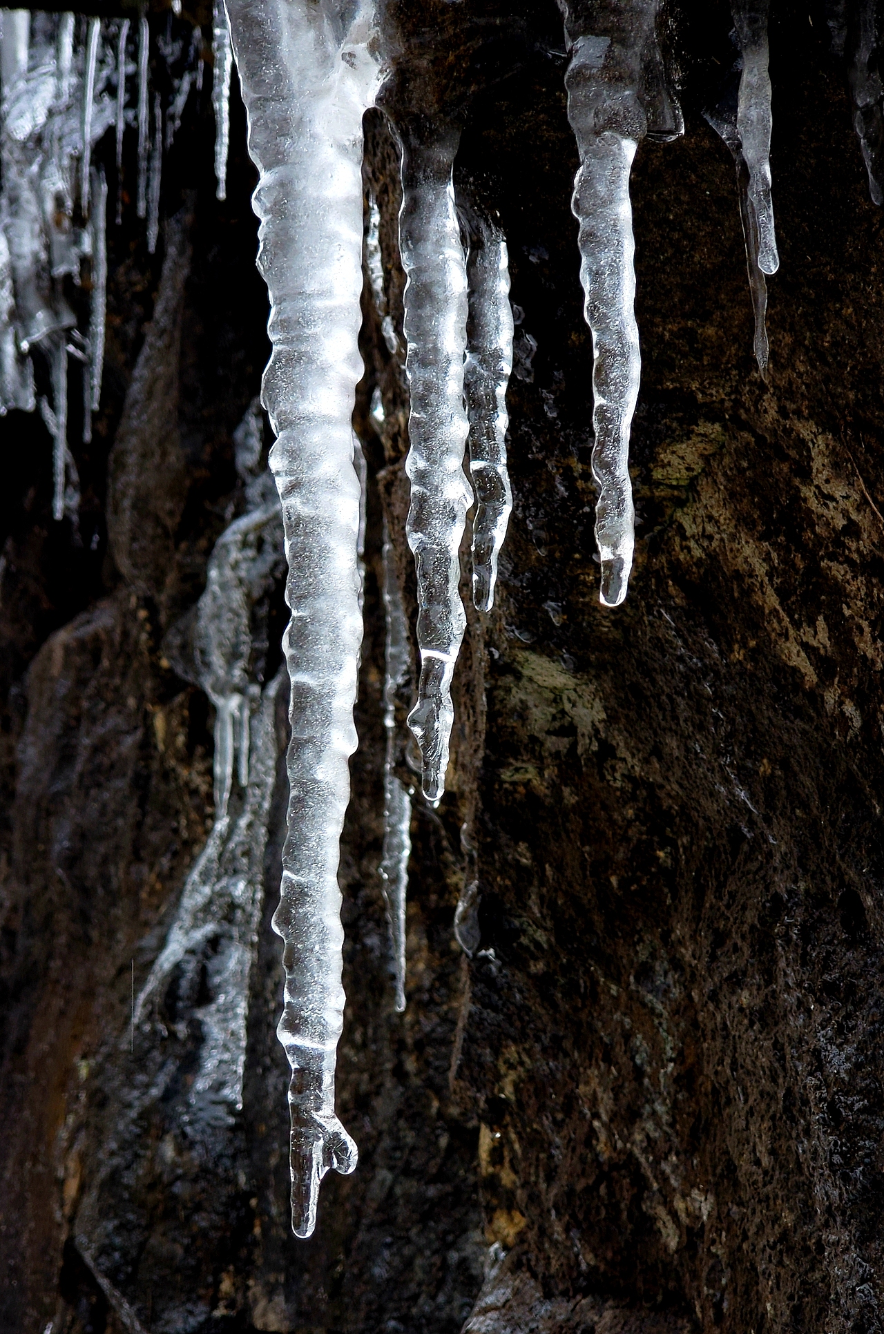 一些历代手机的照片