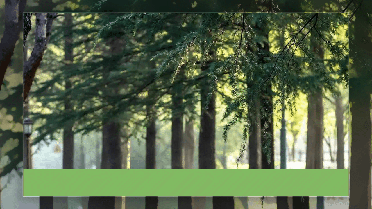 飞鹤IP形象创作升级