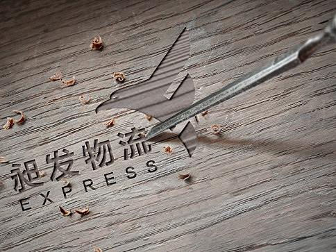 物流公司LOGO标志设计logo