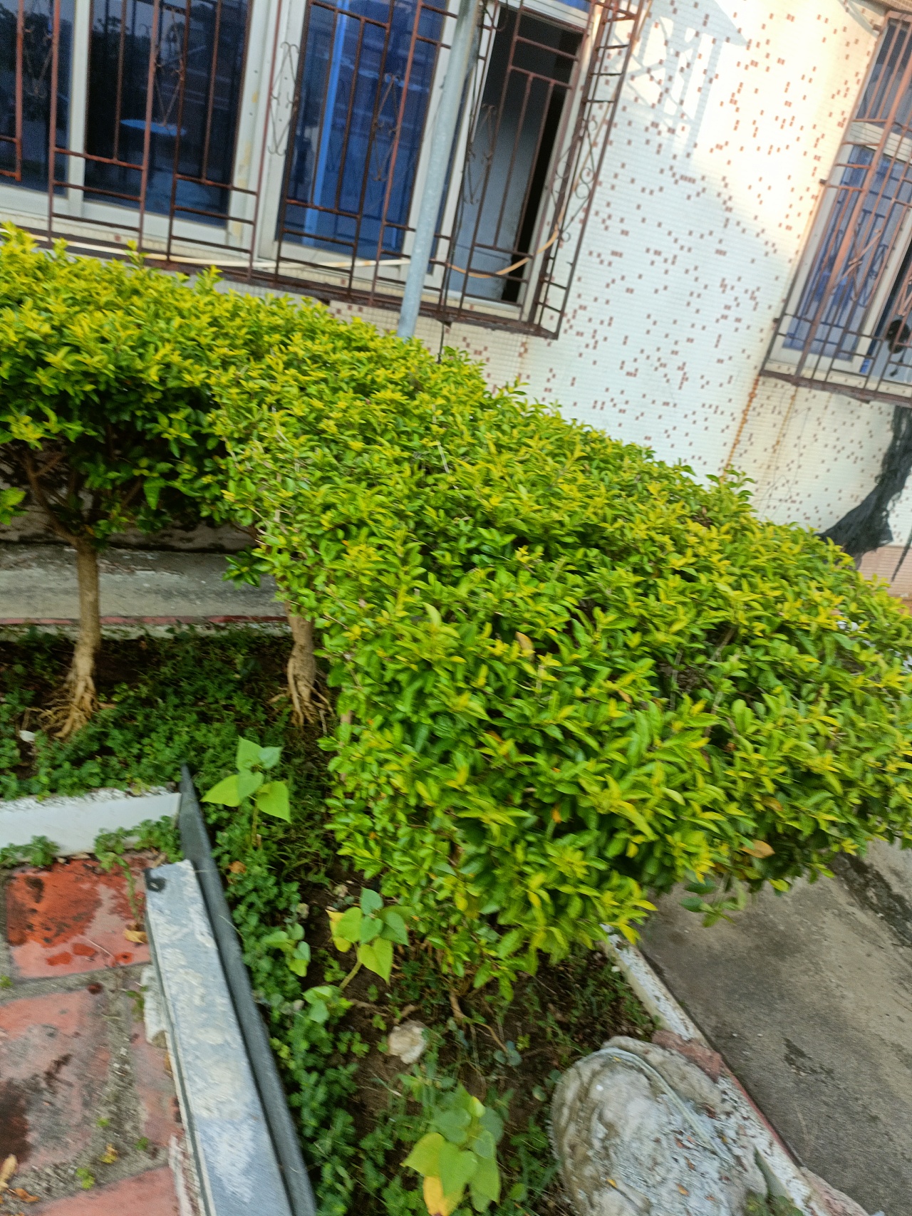 《心泛起了涟漪》