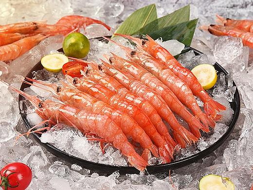 森和视觉 | 冰鲜东海红虾拍摄