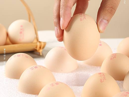 鸡蛋拍摄/产品拍摄/电商拍摄/郑州拍摄