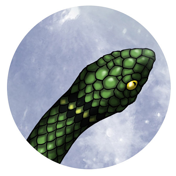 西游记人物谱--六丁六甲 之 六丁阴神玉女