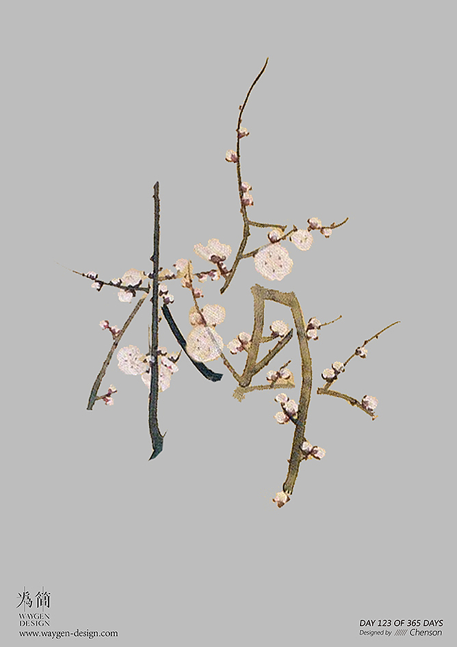 Day 123 of 365 Days. 遥知不是雪,为有暗香来。——王安石《梅》