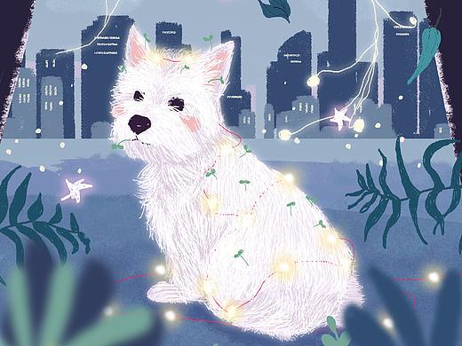 夜间探险