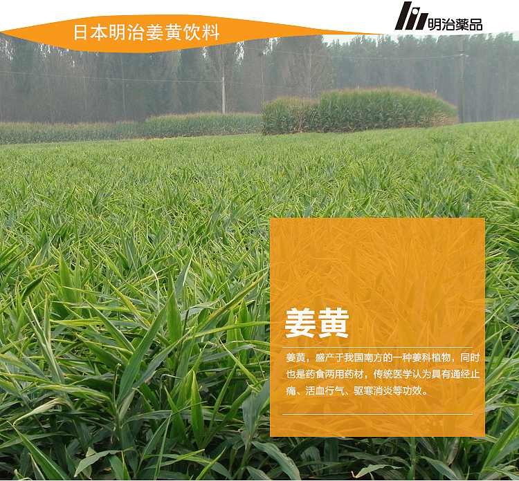 日本明治药品 日本姜黄饮料 淘宝详情页 保健品（图ZMzMwNjQ0MzY=） - 运营设计 - 站酷设计师妖精的怪诞原创素材 - 站酷ZCOOL