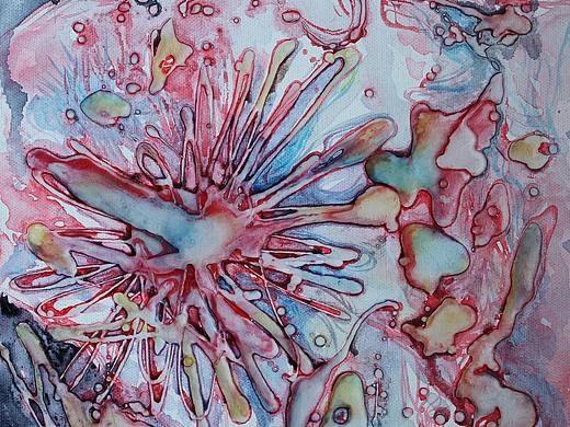 《罗曼蒂克的斗争》