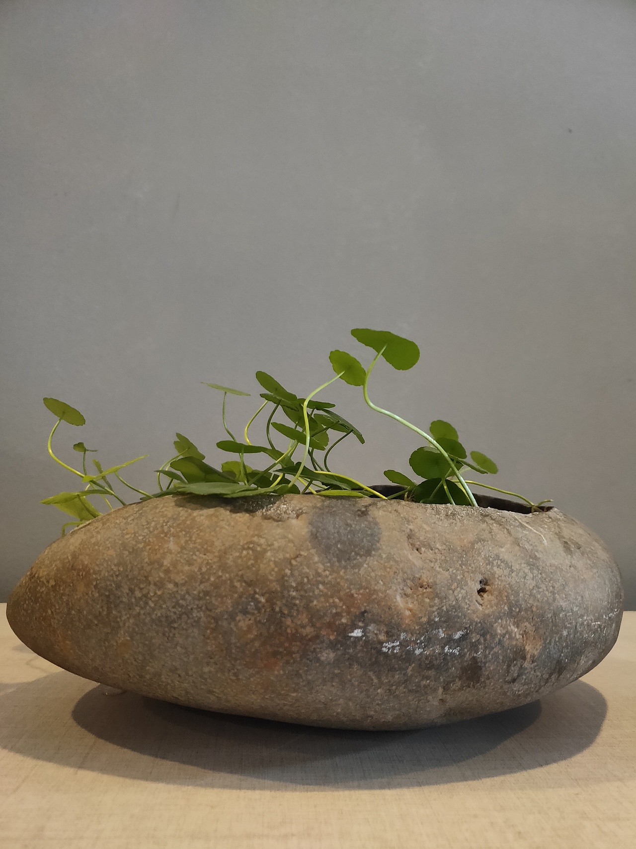 古色（图ZMTk1MzQ4NDM2） - 人文/纪实摄影 - 站酷设计师大码人原创素材 - 站酷ZCOOL