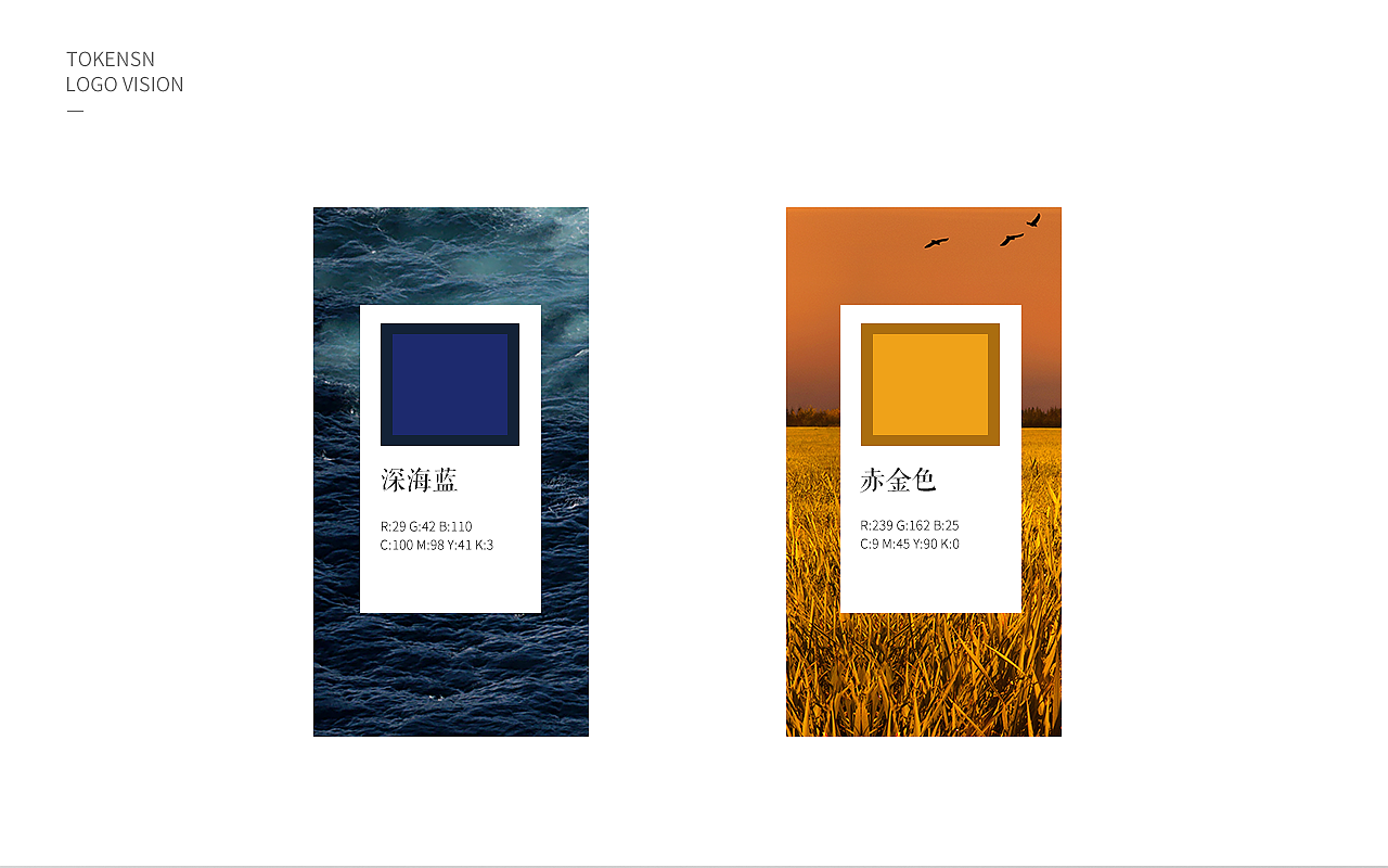 tokensn通证界logo提案