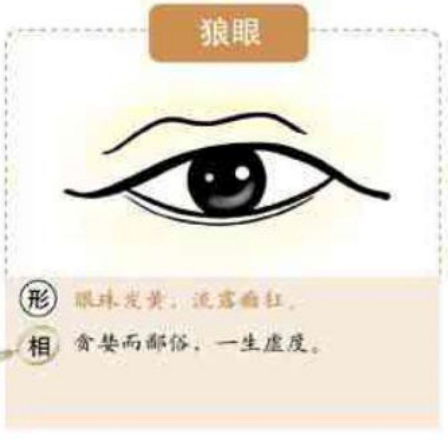 麻衣神相中眼型