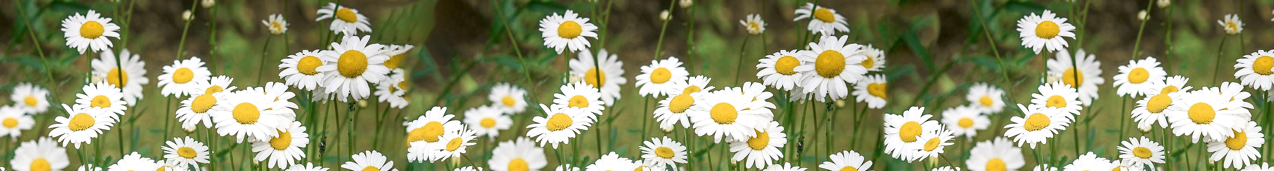 Angelme的个人主页（封面预览） - 主页封面设置 - 站酷设计师Angelme原创素材 - 站酷ZCOOL