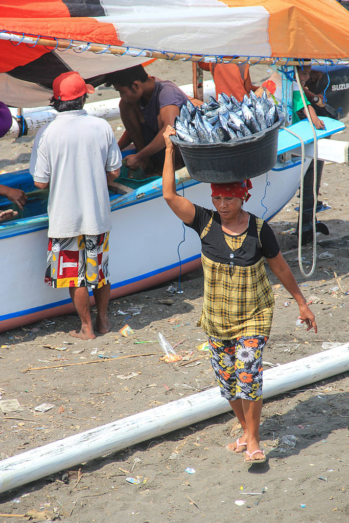 不一样的龙目岛