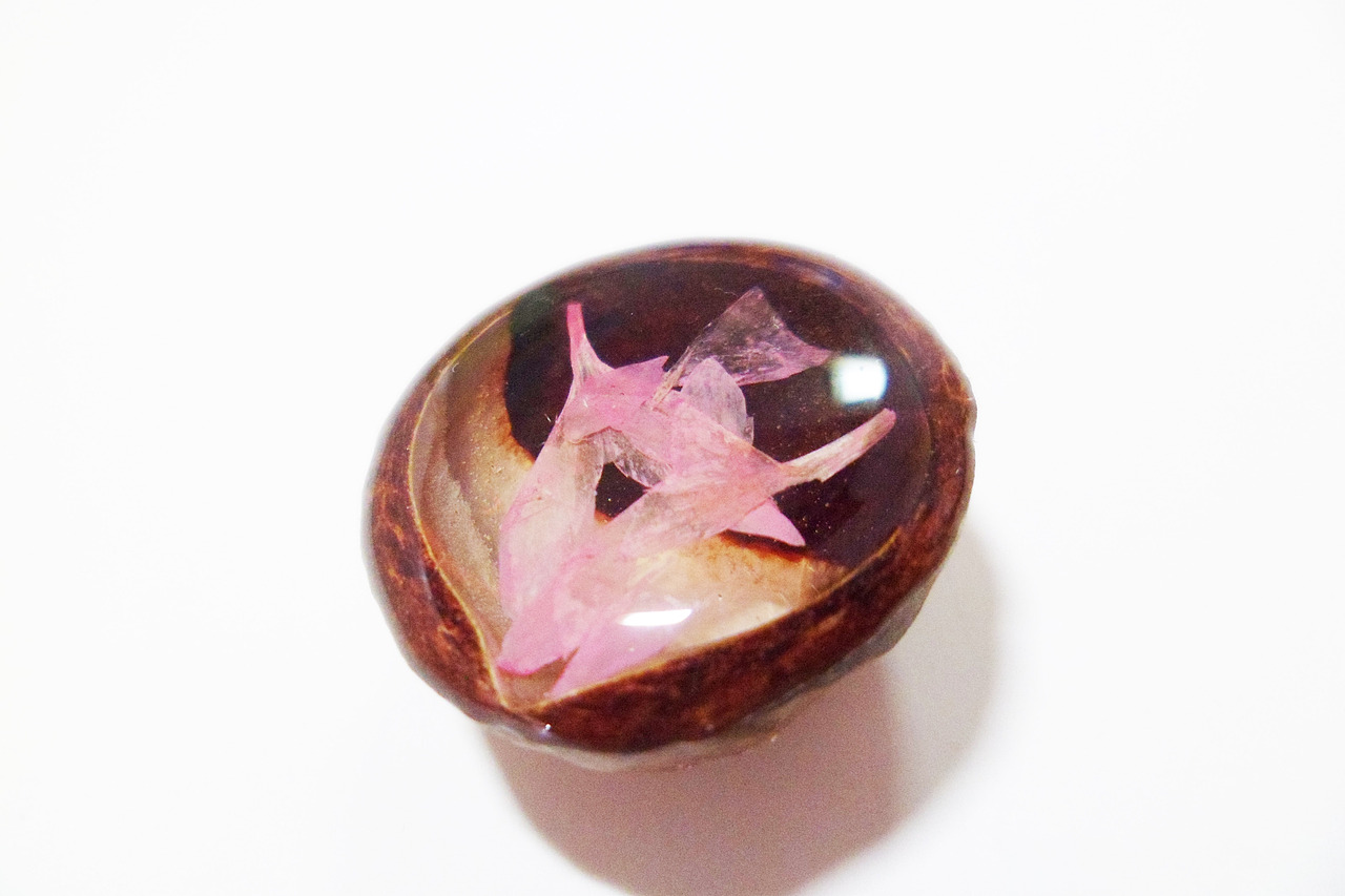 夏威夷果和AB胶--花草（图ZOTM5OTYyODg=） - 生活用品 - 站酷设计师MK的店原创素材 - 站酷ZCOOL