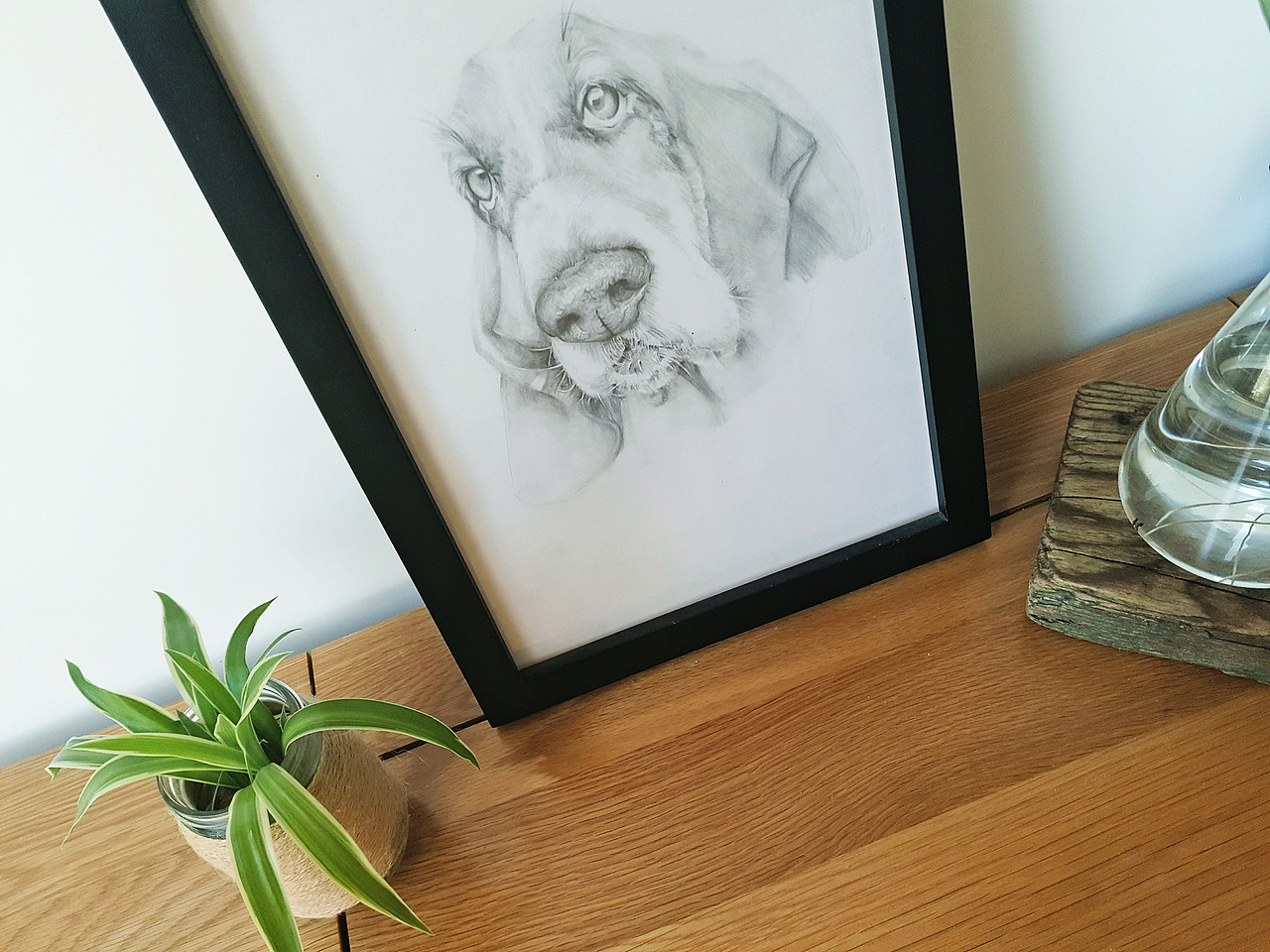 2019素描作品集结——第一集