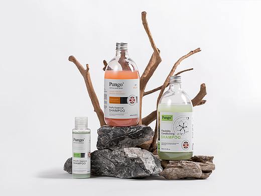 静物场景 宠物用品