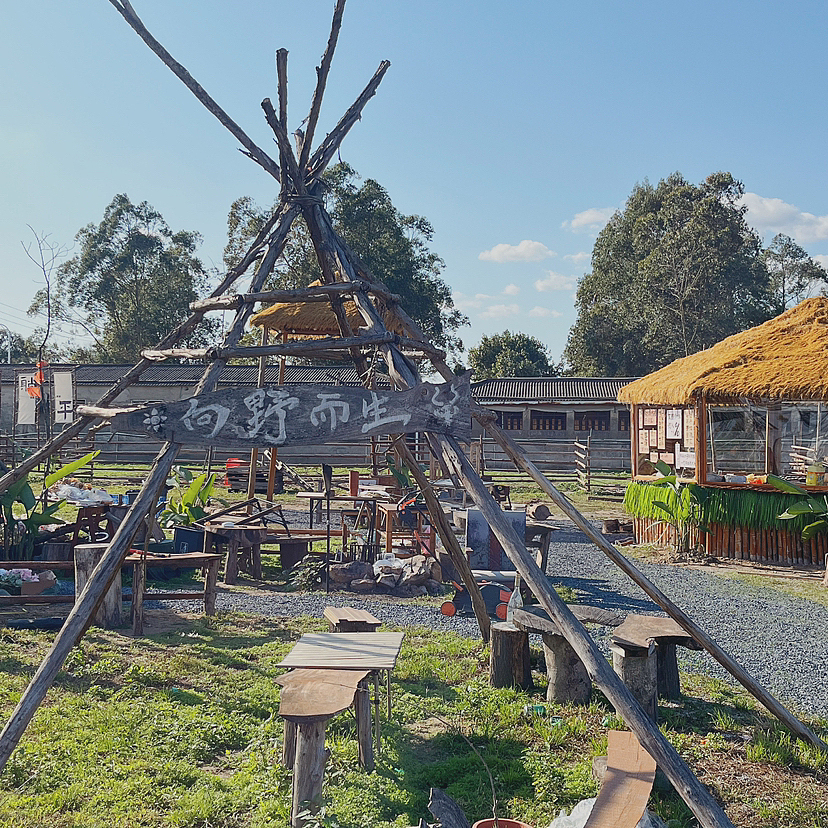 手机拍摄-汕头-科牧羊场