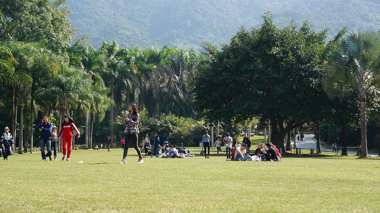 周末游玩罗湖仙湖植物园