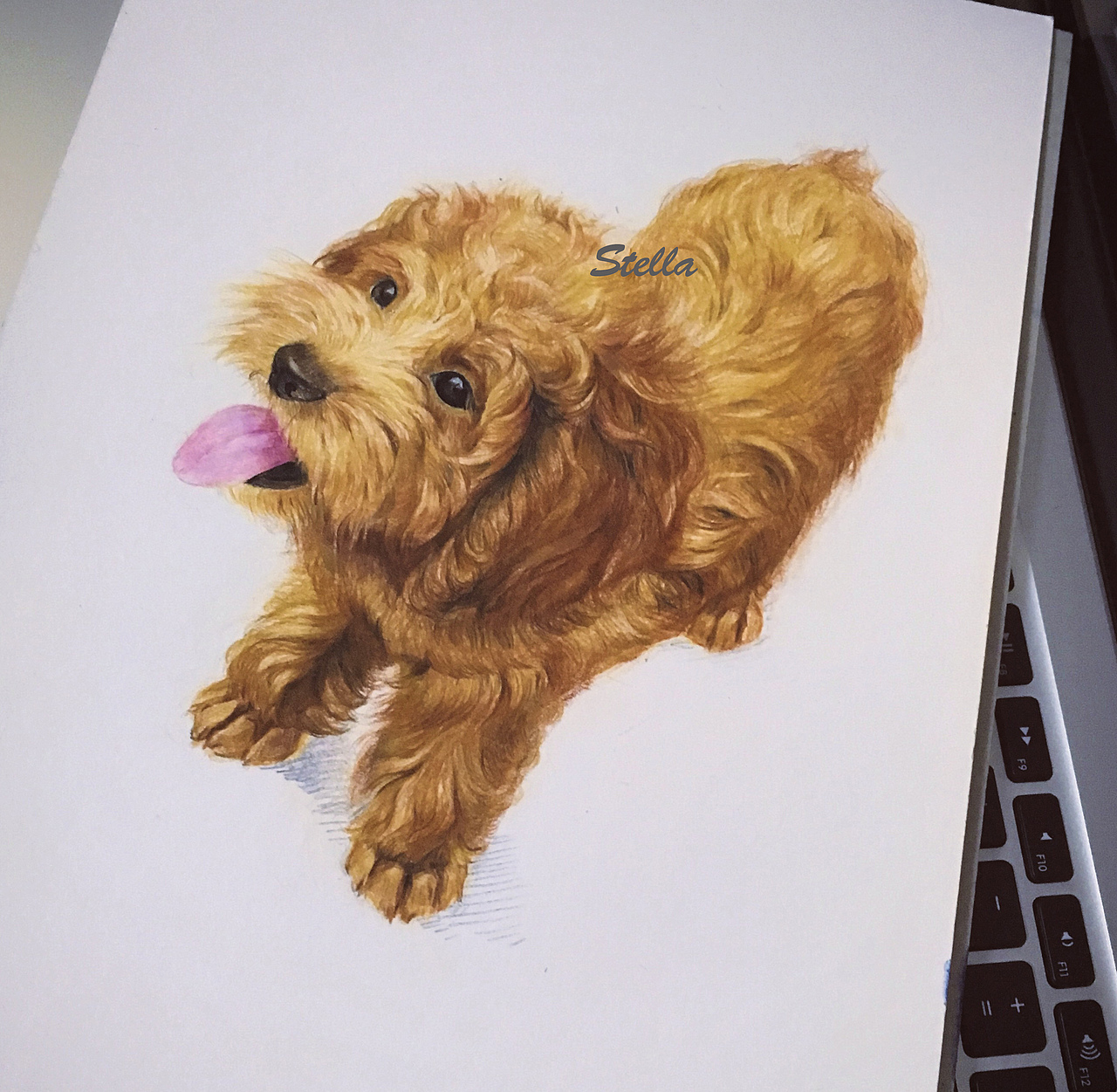 彩鉛練習持續(xù)更新（圖ZNTE5NDI0NTI=） - 繪畫 - 站酷設計師stellam2y原創(chuàng)素材 - 站酷ZCOOL