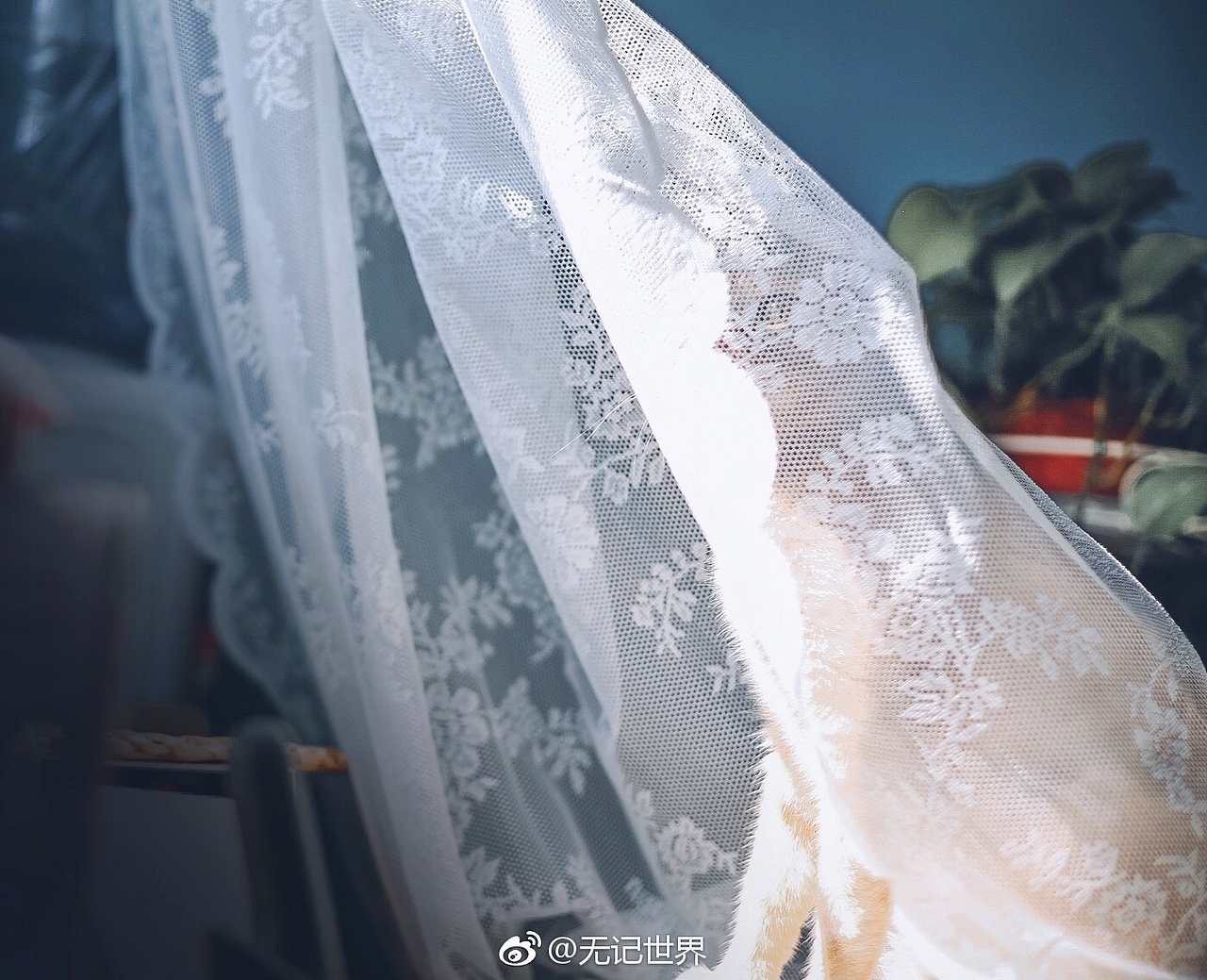 阴天和晴天.我的vikey都陪着我