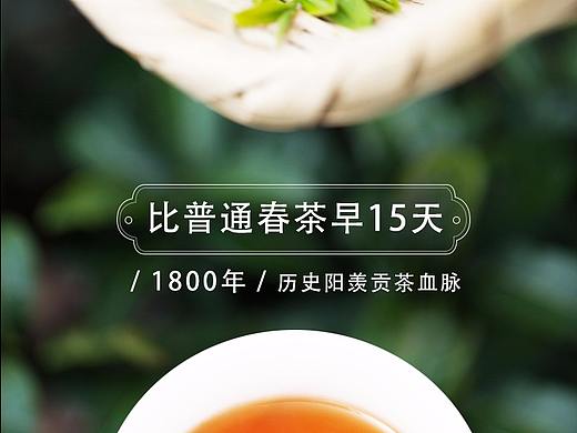茶叶详情页