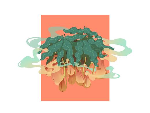 奇妙植物园